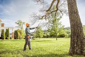 Best Soil Testing and Treatment  in Johnson Creek, WI