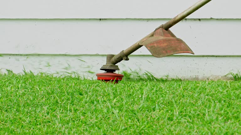 Best Tree Mulching  in Johnson Creek, WI